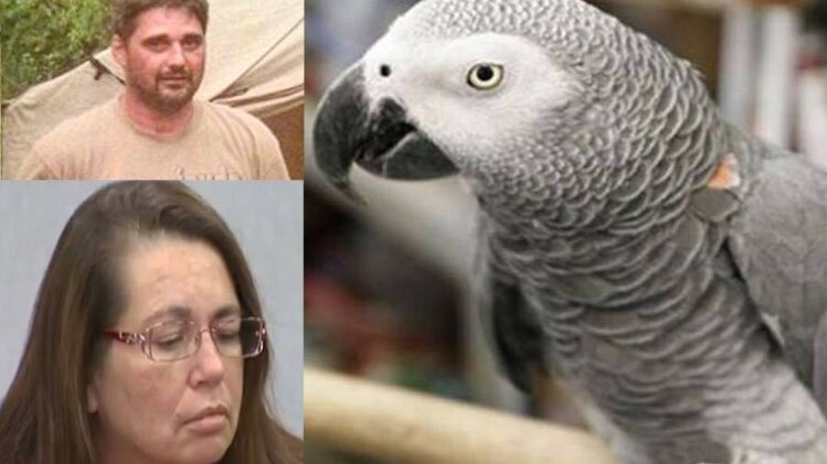 कोर्ट ने तोते का वीडियो देखने के बाद पत्नी को ही पति की हत्या का दोषी माना है