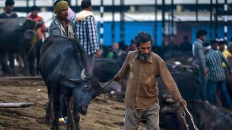 बूचड़खानों को सहायता