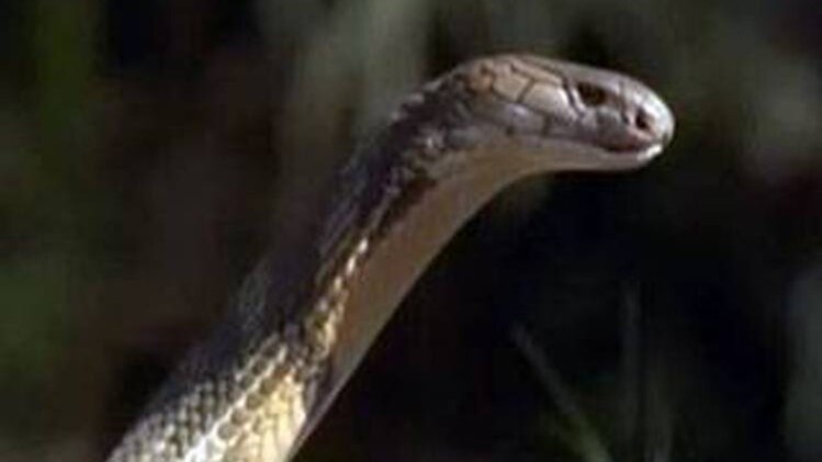 प्रतीकात्मक फोटो