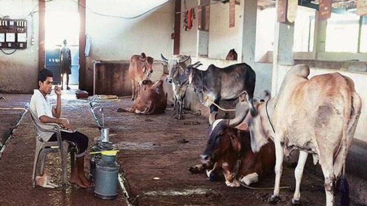 वित्तीय अनियमिताओं की जांच जारी 