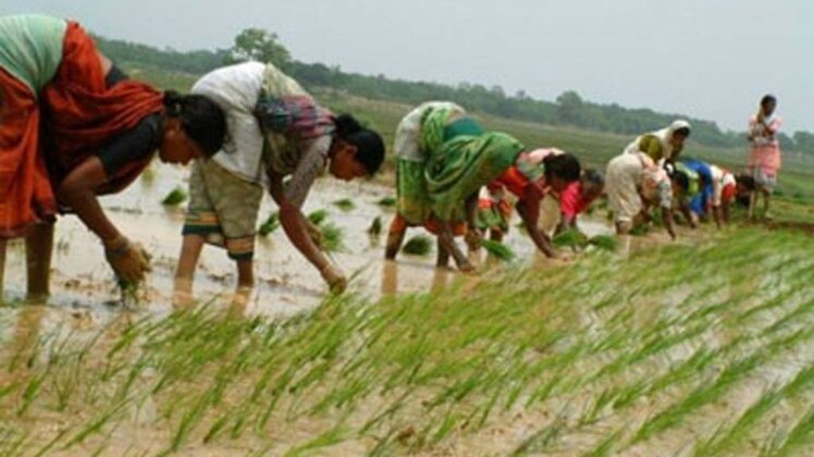 प्रतीकात्मक तस्वीर, झारखंड सरकार की वेबसाइट से साभार 