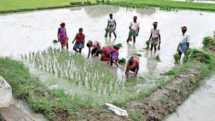 प्रतीकात्मक तस्वीर