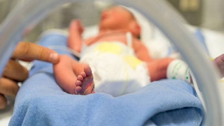 प्रतीकात्मक फोटो 