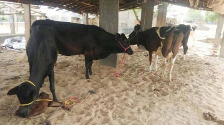 फाइल फोटो