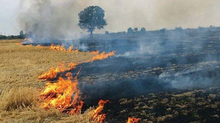 फाइल फोटो।