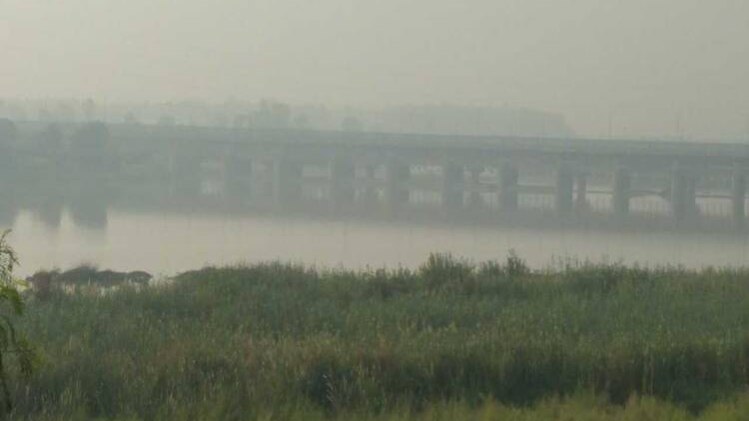 दिल्ली में धुंध