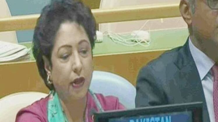 पाकिस्तान की प्रतिनिधि मलीहा लोधी