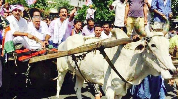 बैलगाड़ी पर कांग्रेस नेता सचिन पायलट