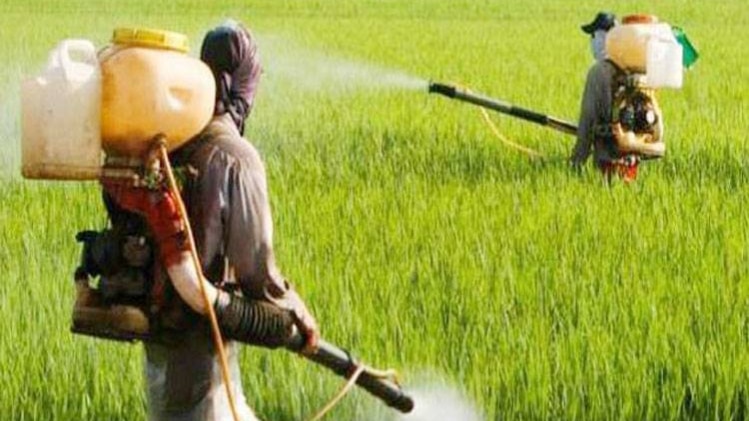 कीटनाशकों के जहर से 18 मजदूरों की मौत 