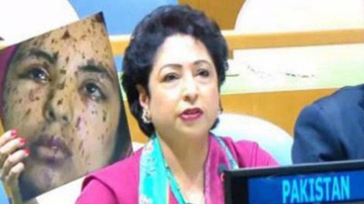 मलीहा लोधी ने पेश की थी फर्जी तस्वीर