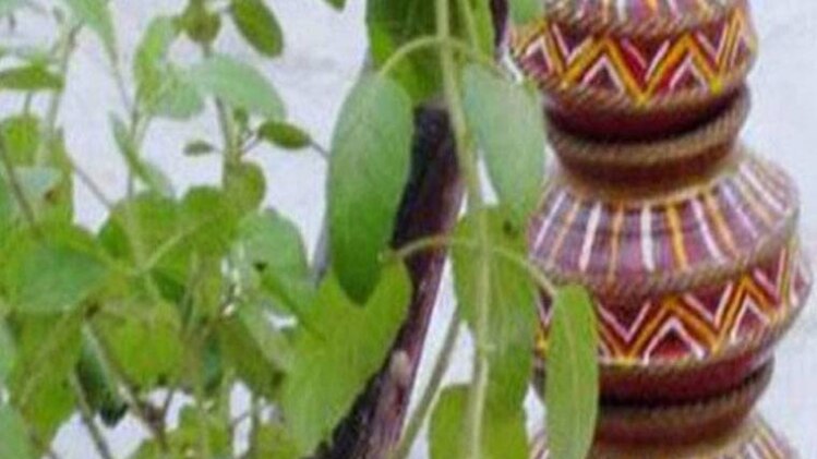 तुलसी पूजा का वैज्ञानिक महत्व