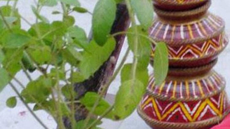 तुलसी पूजा