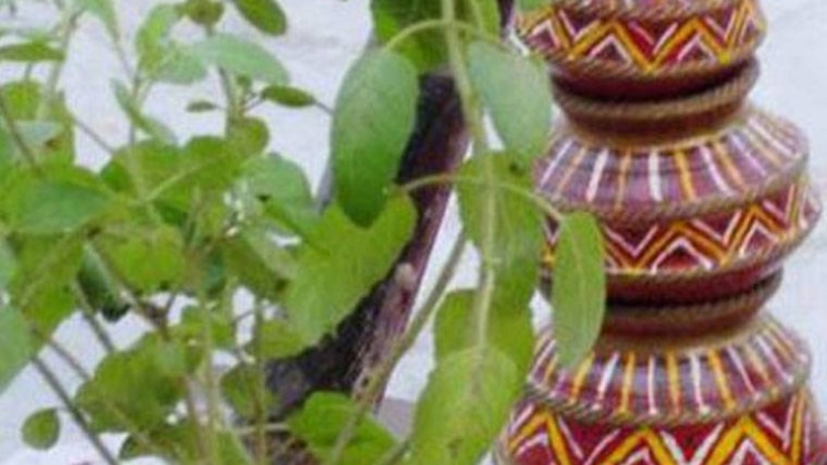 तुलसी पूजा से चमकेगा भाग्य