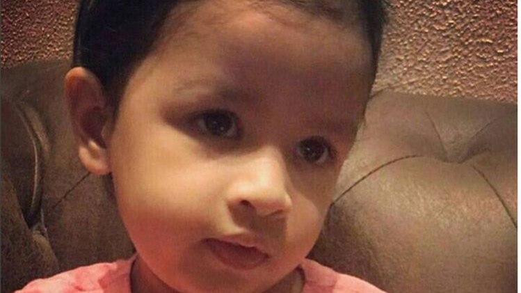 जीवा धोनी