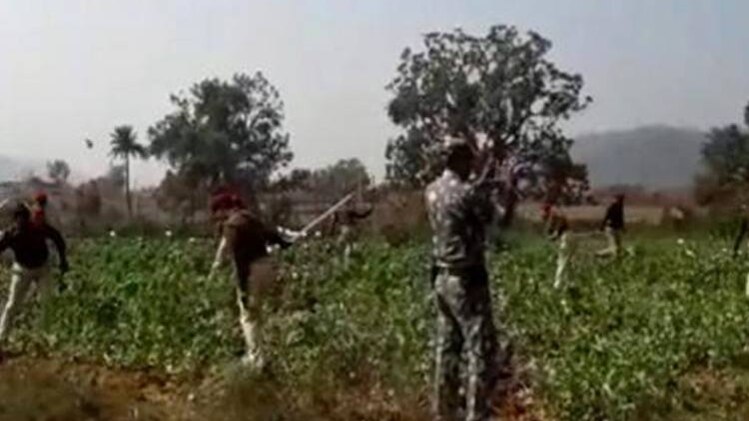 प्रतीकात्मक तस्वीर