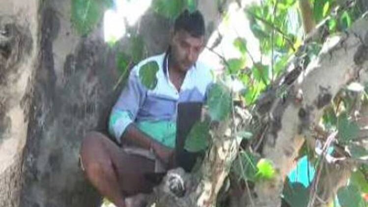 नेटवर्क के लिए पेड़ पर लैपटॉप लेकर चढ़ा व्यक्त‍ि 