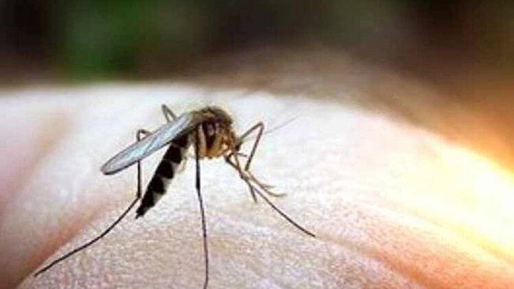 प्रतीकात्मक फोटो