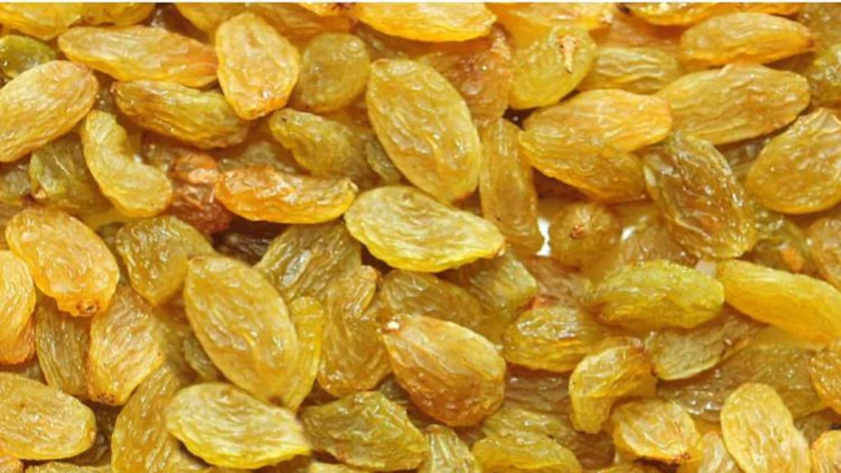 किशमिश खाने से सेहत को होते हैं ये बड़े फायदे! - lifestyle raisins are good for healthy life tstr - AajTak