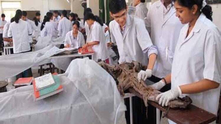 प्रतीकात्मक तस्वीर