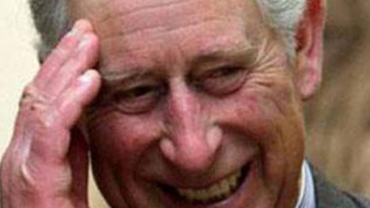 Prince Charles (फाइल फोटो)