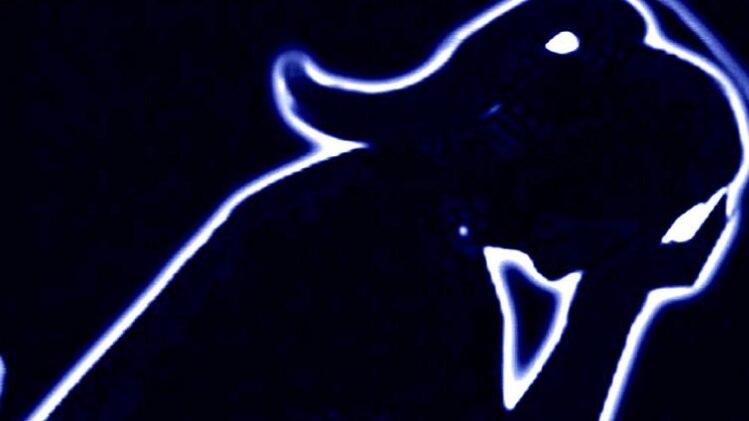 धर्म नगरी चित्रकूट जिले में हुई वारदात