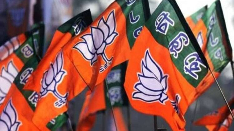 डभोई में बीजेपी को मिली जीत 