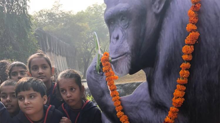 धूमधाम से मनाया गया रीटा का जन्मदिन