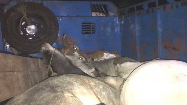 राजस्थान के अलवर की घटना