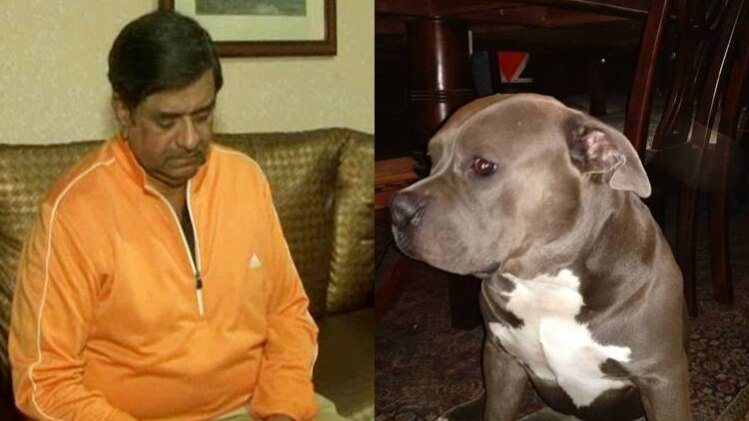 चाकू की नोक पर किडनैप हुआ कुत्ता