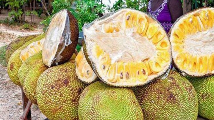 प्रतीकात्मक तस्वीर