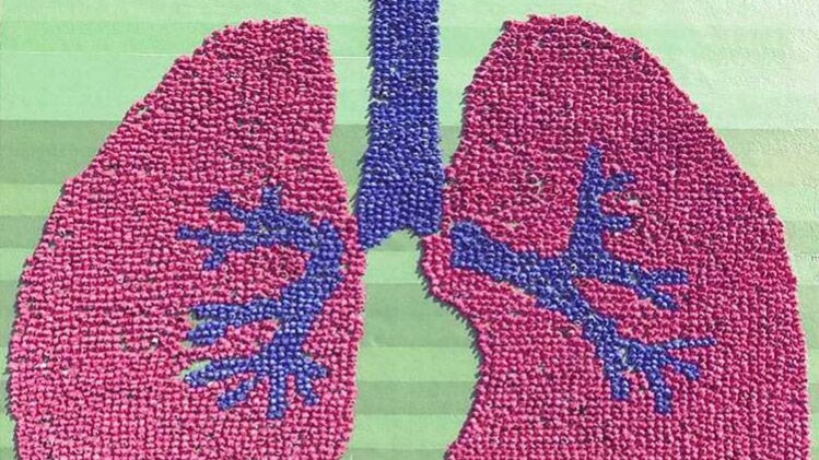 दिल्ली के 35 स्कूलों के 5500 से ज्यादा बच्चों ने लिया हिस्सा 