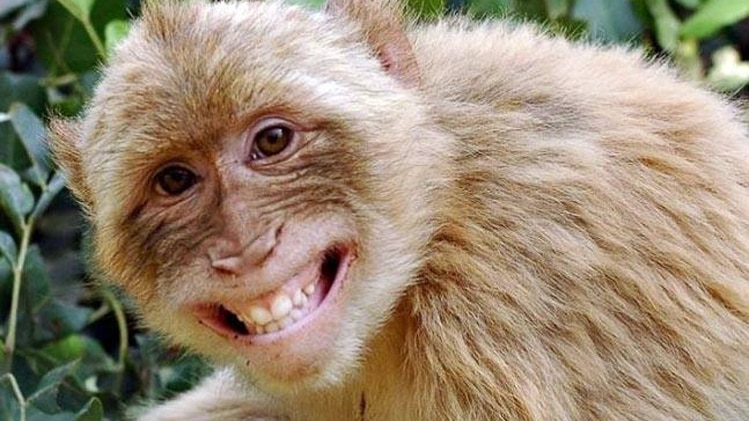 प्रतीकात्मक फोटो.