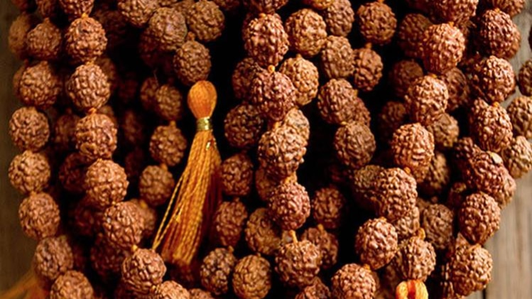 रुद्राक्ष धारण करने के नियम और फायदे