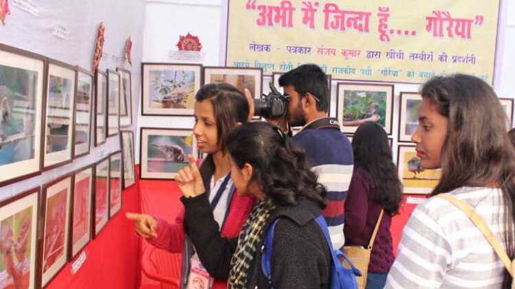 गौरैया चिड़िया पर प्रदर्शनी 