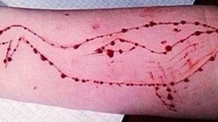 गृह मंत्रालय ने लोकसभा को यह जानकारी दी