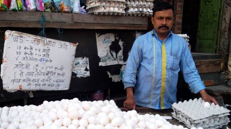अंडा व्यापारी 