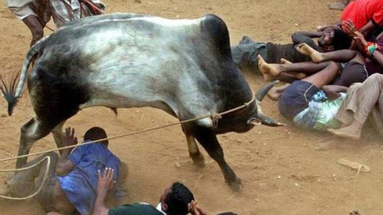 सांकेतिक तस्वीर