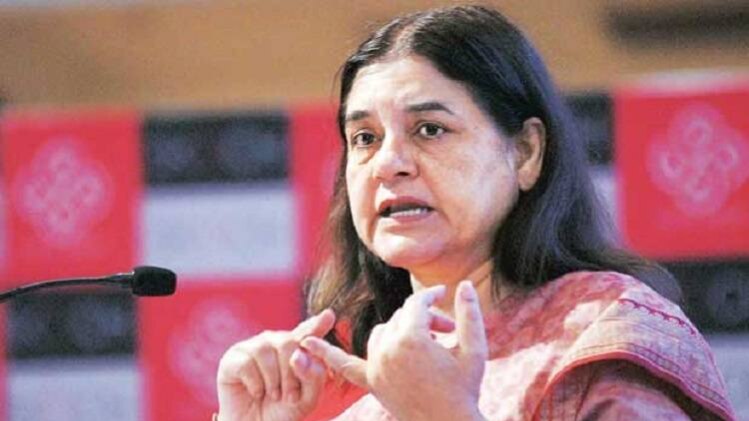 मेनका गांधी