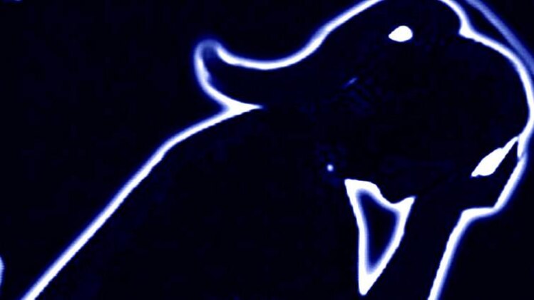 यूपी के हरदोई जिले में हुई वारदात