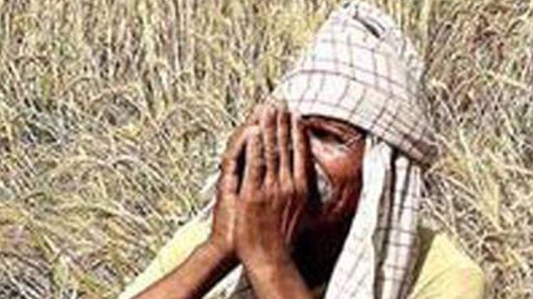 आर्थिक सर्वेक्षण: क्या वाकई दोगुनी होगी किसानों की आमदनी