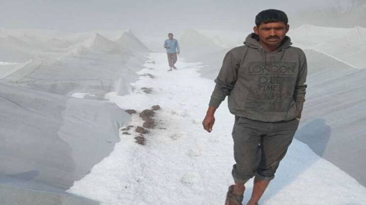 महाराष्ट्र में भारी ओलावृष्टि