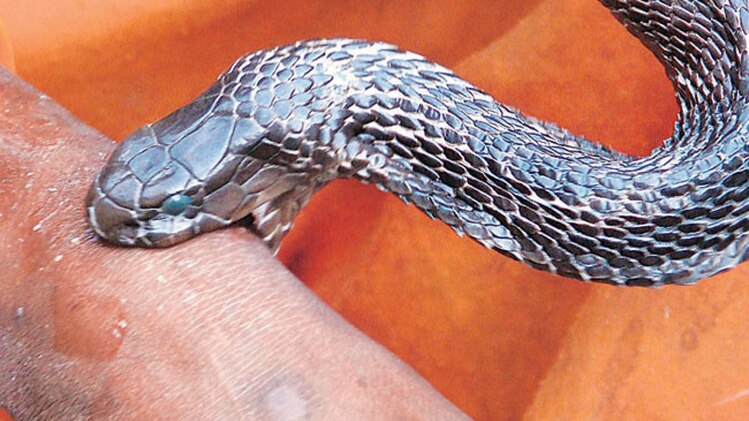 प्रतीकात्मक फोटो.