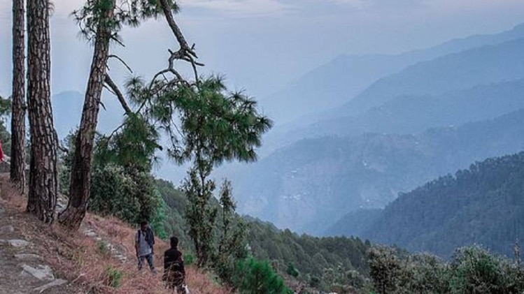 बिनसर का एक दृश्य