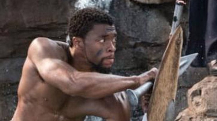 ब्लैक पैंथर का सीन