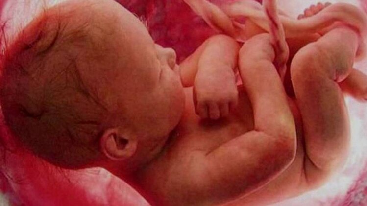 पुलिस पकड़े गए सभी आरोपियों से पूछताछ कर रही है