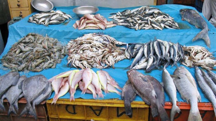 मछली व्यापार के नाम पर हुआ घोटाला