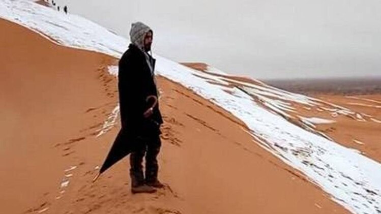 प्रतीकात्मक फोटो.