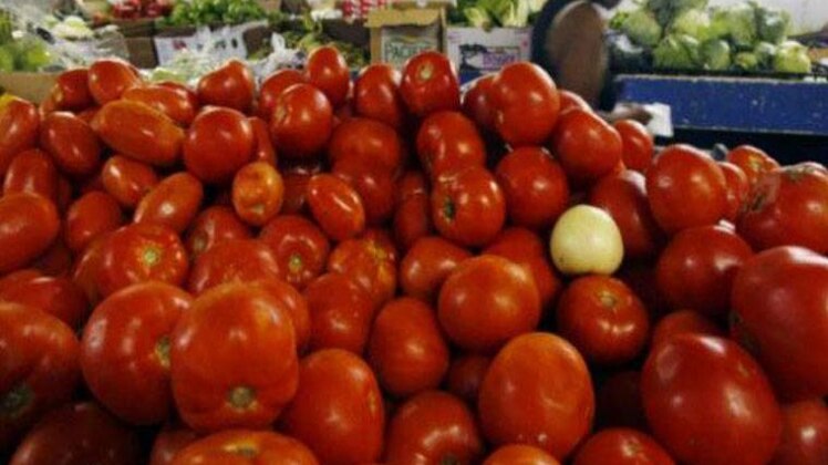 प्रतीकात्मक तस्वीर