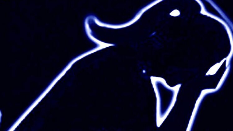 गाजियाबाद के कविनगर की घटना