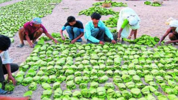 सांकेतिक तस्वीर